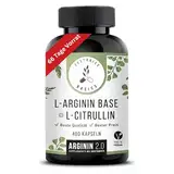 NEU: L-Arginin Base & L-Citrullin (>99% Reinheit) im Verhältnis 2:1. 400 Kapseln = 66 Tage Vorrat – Hohe QUALITÄT, mega PREIS! - Arginin 2.0 von ZESTONICS BASICS