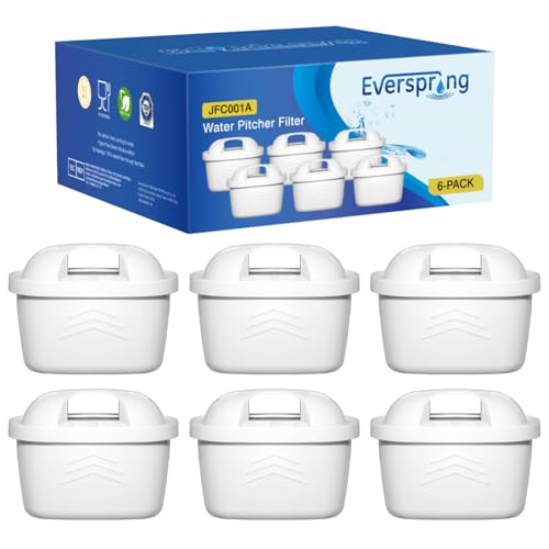EVERSPRING Wasserfilter Kompatibel mit Brita Maxtra+, Maxtra Plus,Mavea,Anna Duomax,6 Stück