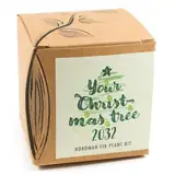 Geschenk-Anzuchtset YOUR CHRISTMAS TREE 2032, Nordmanntannen-Samen zum Anpflanzen des eigenen Weihnachtsbaums, inkl. Kokostopf und Substrat.