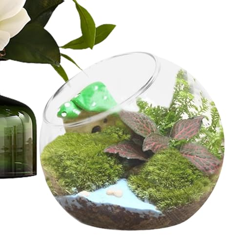Glaspflanzenterrarium - Glasblumenknopfglas, Moderne Luftpflanzbehälter | Sukkulente Ausstellung Vase, dekoratives Miniatur -Terrarium, Hausdekoration für Pflanzen, Glasfabrik Herzstück
