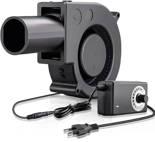 Editbar Radiallüfter 12V,220V Kühlung Lüfter mit controller für Haushaltsgeräte,Gebläse Lüfter für Belüftung Lüfterwechsel BBQ Aufblasbar Kamin,Turbinengebläse für Heizgeräte Grill BBQ Picknick