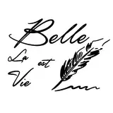 La Lettre & La Vie Est Belle & Quot; Wandaufkleber, kreative französische Phrase, Belle Living, Wandaufkleber, Wohnzimmer, Heimdekoration, 70 x 50 cm Danke Aufkleber Silber (Black, One Size)