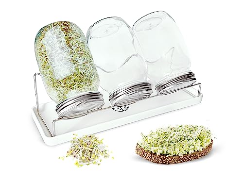 VESTAhome Sprossenglas Keimglas Set (3er Pack | 950 ml) Keimglas für Sprossen mit Deckel, Sieb & Abtropfschale - Sprossen Keimgerät zur Kresse Anzucht