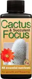 Kaktus und des frischen Focus 100 ml