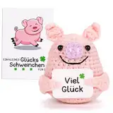 Pocket Hug Schwein, Positive Geschenke Glücksschweinchen, Strickwolle Schwein Puppe mit Energiekarte, Positive Kartoffel - Ersatz, Mutmacher Glücksbringer Prüfung Geschenk für Beste Freund Kollegen