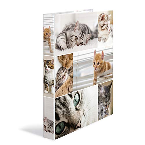 HERMA Ringbuch A4 Katzen, schmal, 2 Ringe, 35 mm breit, Kinder Ringordner mit Tier Motiv, bunter Ordner mit Innendruck für Jungen und Mädchen