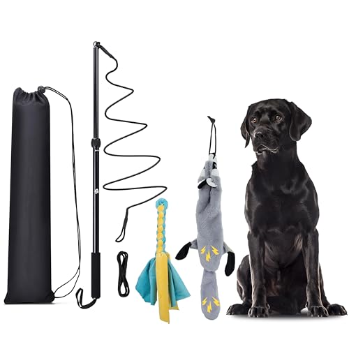 KOXXUD Reizangel für Große und Kleine Hunde, Profi Mittelgroßer Hund Martin Rütter für Ultimativen Spielspaß & Körperliche Auslastung (Seilstreifen + Biber)