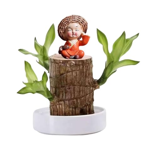 Generisch Brasilianisches Glücksholz, Brasilianisches Holz Grünpflanze, Dekoration, Hydroponischer Topfpflanzenstumpf, Brasilianische Pflanze, Mini Lächelnder Buddha, Desktop Ornament