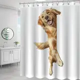 Yelolyio Golden Retriever Duschvorhang, Hund, der um die Ecke schaut, 183 x 190 cm, Badvorhang mit Haken, wasserdichte Badewannen, lustige Badezimmer-Dekoration, moderne Badezimmer-Duschvorhang-Sets