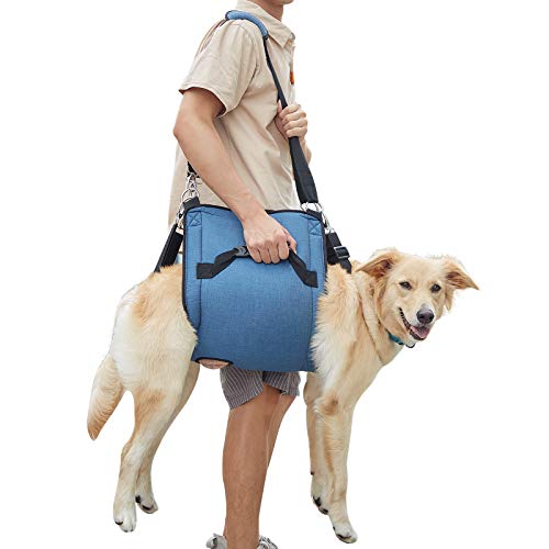 COODEO Hundetragegurt, Notfallrucksack Unterstützung für Rehabilitation Hundelift Geschirr, Hundeträger für ältere Hunde Gelenkverletzungen, Arthritis, Treppe hinauf (XL, Blau)