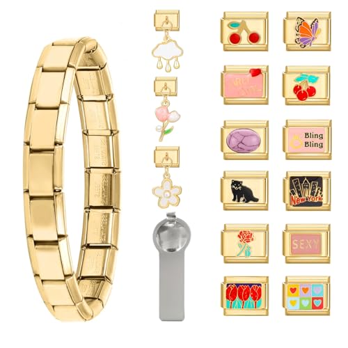 Greenyre 17PCS Italian Charm Bracelet Set Gold-9mm,Italienisches Charm Armband mit Starter-Armband und Öffnungswerkzeuge,DIY Italian Style Charms für Damen Herren Mädchen