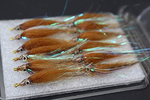 Tigofly 12 Stück 6 Farben Glänzende Polarbraten langsam sinkend Lachs Forelle Steelhead Elritze Fliegenfischen Fliegenköder Fliegenset Größe #8 (braun)