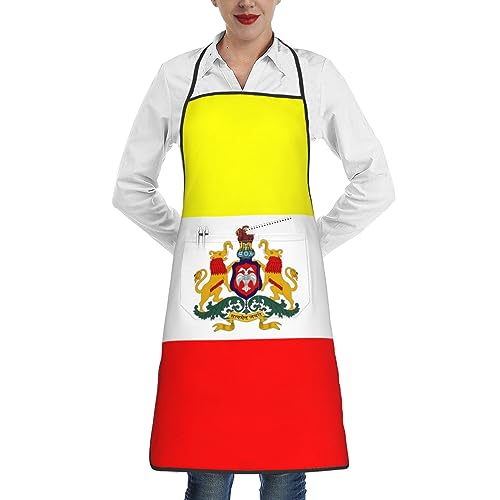 Premium Grillschürzen, Flagge Von Karnataka (Vorschlag 2018), Grillschürze Personalisiert Schürze, Arbeitsschürze, Küche, Gastronomie