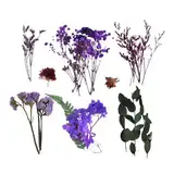 Getrocknete Blütenstiele | Dehydrated Blumenanzeigen | Bunt Getrockneter Blumenstrauß | Natürliche Handwerksblumenarrangements | Perfekt Für Kerzenherstellung, Scrapbooking, Grußkarten Und Wohnkulturp