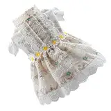 COLLBATH Hundekleid Mit Blumenrock Für Hunde Haustierurlaub Stilvoll
