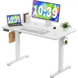 DUMOS Schreibtisch Höhenverstellbar, Ergonomic Elektrischer Schreibtische 120 X 60 cm, Standing Desk, Height Adjustable Tisch, Office Desk Geeignet für Büros, Wohnungen und andere Umgebungen (Weiß)