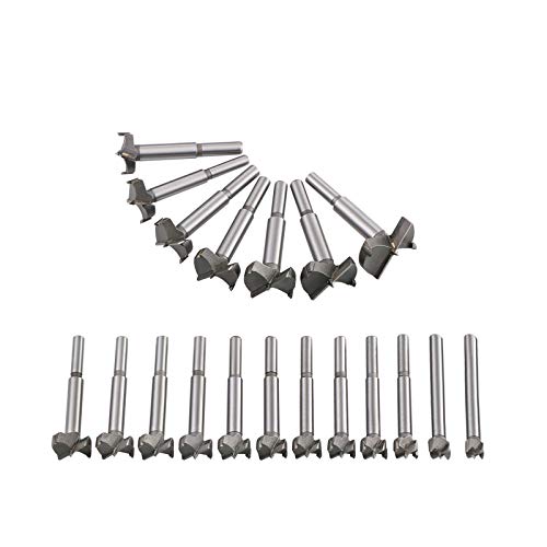 Flintronic Professional ForstnerBohrer, 19-tlg Forstner Bit(10-40mm), Set, Holzbohrer, Cutter mit Rundschaft, Bohrer für Holz, Zubehör Bohrmaschine für Holzbearbeitung