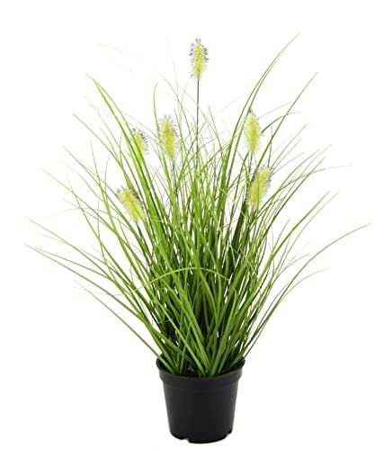 Künstliches Fuchsschwanzgras im Topf Gras Kunstpflanze Kunstgras Ziergras Grünpflanzen Dekogras Grasbüschel Ziergras Solitärgras Deko Grasarrangement Borstenhirse Panicoideae Süßgräser Setaria