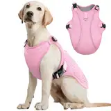Kuoser L Kühlweste Hund Atmungsaktiv, Kühlmantel für Hunde kühlend, Belüftete Kühljacke Outdoor Aktivitäten Draußen Wandern Training Sommer Spaziergänge Hitze, Leichte Hunde Weste Schnell Rosa