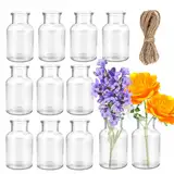 Kleine Glasvasen Small Vases,Pack of 12 Mini Glass Vases,250 ml Small Bottles with Jute Cord, Flower Vases, Table Vases,for Table,Decoration,Centrepieces,Home,Birthdays,Festivals