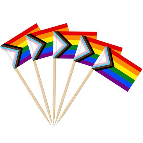 AhfuLife 100 Stück Progress Pride Zahnstocher Flaggen, LGBTQ Regenbogen Cocktail Stick Flaggen für Sandwich Lebensmittel Cupcake Toppers Cocktail Obst Pride Day Paraden LGBT Party Bar Dekoration