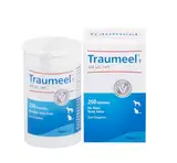 Traumeel T ad us.vet.Tabletten 250 St