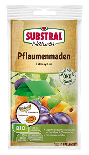 Substral Naturen Pflaumenmaden-Falle zum Abfangen der Pflaumenwicklermännchen, Klebefalle mit Lockstoff, 1 Set