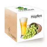 Feel 296343 Green Ecocube Hopfen, Nachhaltige Geschenkidee (100% Eco Friendly), Grow Your Own Craft Beer/Anzuchtset, Pflanzen Im Holzwürfel, Made in Austria
