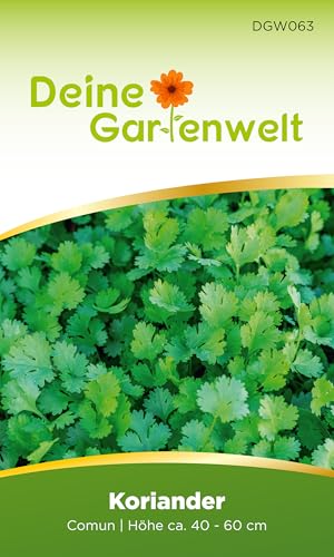 Koriander Comun Samen - Coriandrum sativum - Koriandersamen - Kräutersamen - Saatgut für 50 Pflanzen