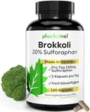 20% Sulforaphan! 180 Sulforaphan Kapseln hochdosiert aus Brokkoli-Extrakt mit 90mg Sulforaphan pro Kapsel - Brokkoli Kapseln hochdosiert aus Brokkoli-Sprossen