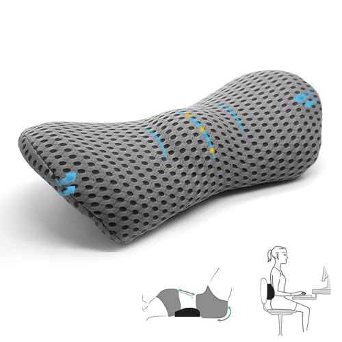 iKALULA Lendenkissen, Memory Foam Rückenstützkissen, Lumbalkissen Rücken, Rückenkissen Bürostuhl und Auto, Ergonomisches Lendenwirbelstützkissen für Autositze,Bürostuhl(Grau)