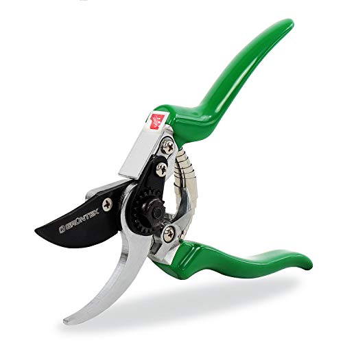 GRÜNTEK Gartenschere FALKE Teflon Baumschere, Klinge aus japanischem SK5 Stahl, Bypass Pflanzenschere 215 mm Secateurs, Ergonomische Garten-Pflanzen-Blumenschere