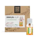 basics IMMUN KUR Monatskur, 30 x 10ml Fläschchen - Immunsystem stärken 15x Vitamin Komplex hochdosiert, Vegan mit Mineralstoffen - unterstützt Immunsystem und Energiestoffwechsel