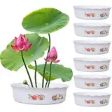6PCS Lotus Bowl Pflanzer Chinesische Lotusschale 7x2, 3 Hydroponischer Pflanzer ohne Abfluss rund dekorative Schüssel für Wasserlilie Narzisse Pflanzung