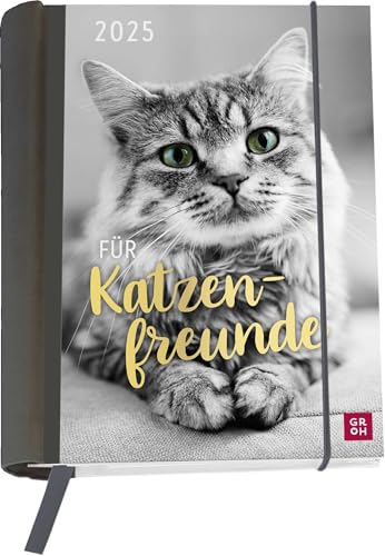 Buchkalender 2025: Für Katzenfreunde: Katzenkalender goldveredelt. Wochenplaner | Terminplaner | Organizer. Praktischer kleiner Taschenkalender, 12 heraustrennbare Postkarten inkl.