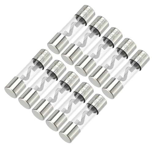 Partuto 10 Stück 10x38mm 0,39x1,50 Zoll 40A Universal AGU Glassicherung - Kfz-Sicherungsröhre zum Schutz der Stromversorgung - Metall Silberton