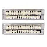EUPSIIU 2 Stück false teeth in dental complete acrylic resin Falsche Zähne Veneers Kosmetische Zahnabdeckung Zahnprothese Künstliche Temporäre Zähne Provisorische Zahnprothese (2 Stück)