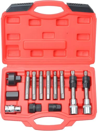Zoomtools 13-teiliges Werkzeugset zum Entfernen der Riemenscheibe Lichtmaschinen Werkzeug Satz 12.5 mm 1/2" Antrieb Lichtmaschinen Bit Freilauf Wechsel Steckschlüssel für diverse Fahrzeuge