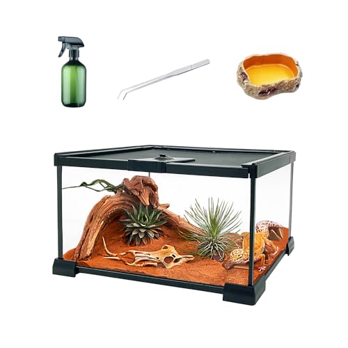 KAKOOTI Reptilienglas-Terrarien-Kit, 12 "x8 x 8" Terrariengehege Amphibien-Tankkäfig mit magnetischer Schiebetür für kleine Reptilien, Amphibien und Wirbellose.