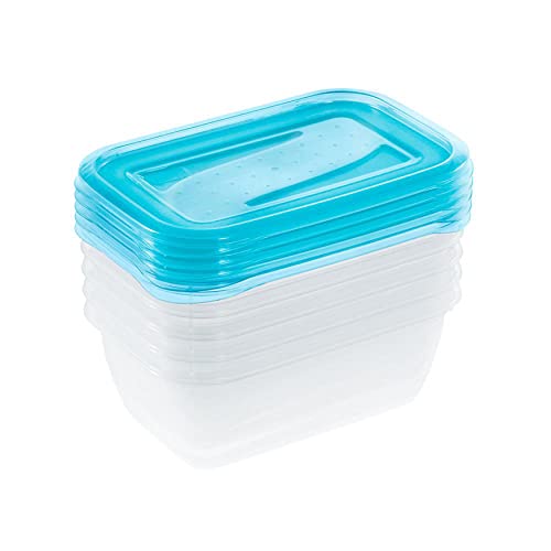 keeeper Frischhaltedosenset 5-teilig, 5 x 0,5 l, 15,5 x 10,5 x 6 cm, Fredo Fresh, Blau Transparent