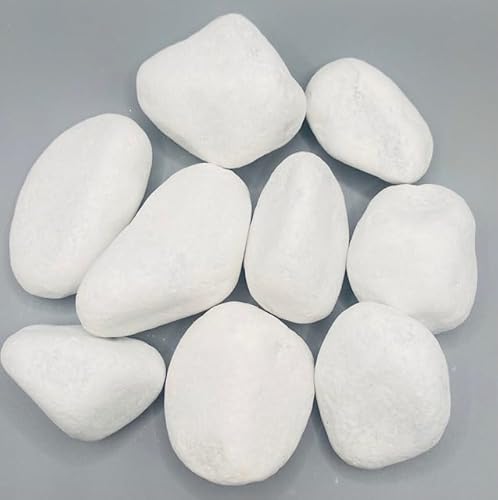 HCommerce Schneeweiß Dekosteine I Marmorkies I Carrara Kies I Körnung 20-40mm (1, Kilogramm)