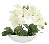 Künstliche Orchidee in Schale 27cm Kunstblume Blume Kunstorchidee Phalaenopsis mit Übertopf Kunstpflanze Hochzeit Deko Schmetterling Phalaenopsis Dekoblume Seidenblume Blumenarrangements, weiß