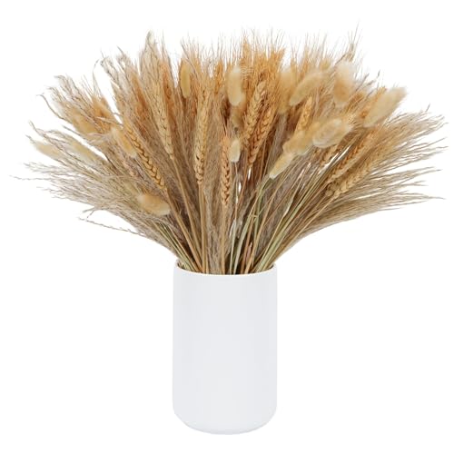 SCLLNDA 190PCS Trockenblumen Weizen Natürliche Getrocknet Blumen Pampasgras Klein Getrocknetes Schilfgras 41cm Pampas Gras für Hochzeit Hause Party Wedding Büro Fotografie Vase Deko