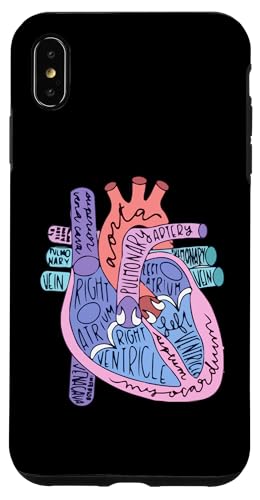 Hülle für iPhone XS Max Herzspezialist Anatomie Arzt Medizinische Biologie Organarterie