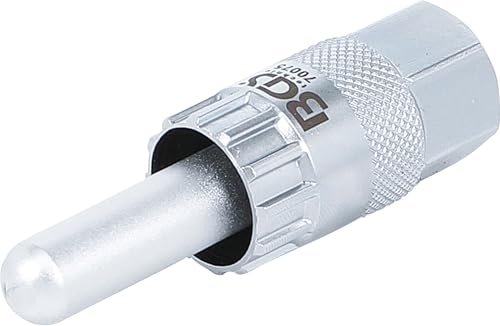 BGS 70075 | Verschlussring-Einsatz | mit Zentrierstift | für 12 mm Steckachsen