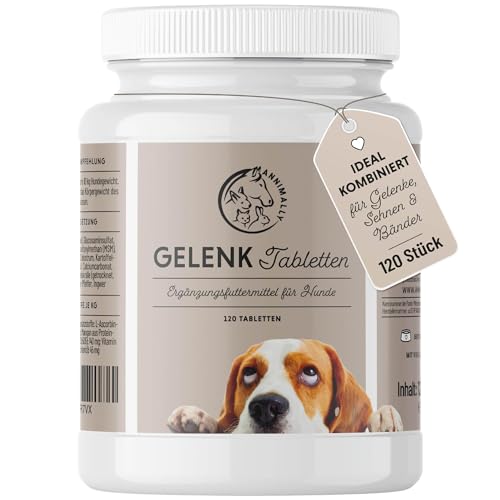 Gelenktabletten für Hunde mit MSM, Grünlippmuschel, Teufelskralle, Glucosamin & Hyaluron - 120 Gelenke Tabletten für Hunde - Hohe Akzeptanz beim Hund durch kleine Tabletten