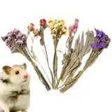 Blumenhamster-Einstreu – getrocknet, natürliche Leckereien, Getreide, Blumen, Ohren, -Sprays, Set für Rennmäuse, Blumen, Hamster, Einstreu (zufälliger Stil)