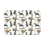 LUNMENGCC Windhund-Fußmatte, rutschfest, für Windhunde, Whippet, Bad, Küche, Wohnzimmer, Teppich, 40 x 60 cm, WC-Eingang, Fußpolster