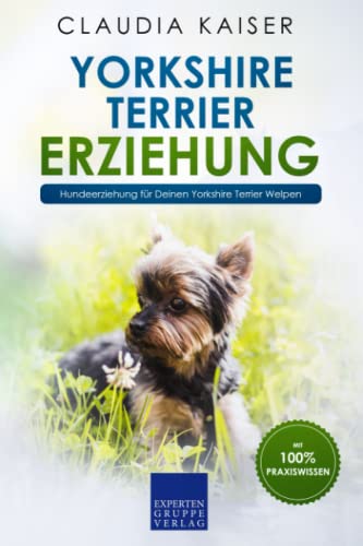 Yorkshire Terrier Erziehung: Hundeerziehung für Deinen Yorkshire Terrier Welpen