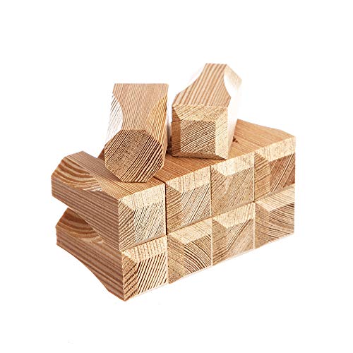 10 Ziernägel Abdeckkappe Holznägel Fachwerknägel aus Lärche 20x20x45 neu